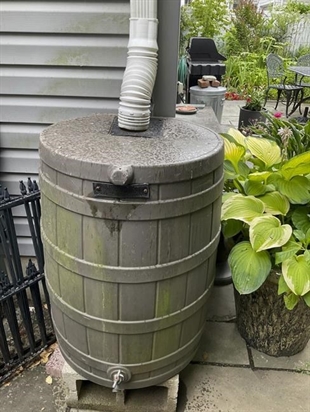 How you water the garden can save you money, gallons and your plants, too | iNFOnews.ca How you water the garden can save you money, gallons and your plants, too | iNFOnews.ca