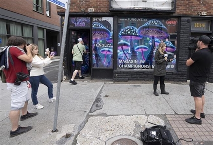 Montreal police raid illegal magic mushroom store on opening day | iNFOnews.ca