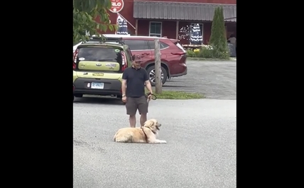 TRENDING NOW: When your dog just doesn't want to leave | iNFOnews.ca