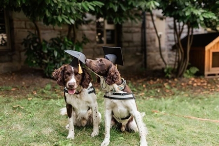 Dogs trained to detect potentially deadly superbug at B.C. hospitals | iNFOnews.ca Dogs trained to detect potentially deadly superbug at B.C. hospitals | iNFOnews.ca