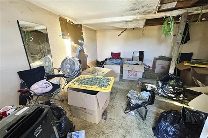 Dozens of smuggled people found working in 'horrible' conditions at illegal California pot plant | iNFOnews.ca Dozens of smuggled people found working in 'horrible' conditions at illegal California pot plant | iNFOnews.ca