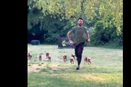 TRENDING NOW: Grown man overpowered by 10 puppies | iNFOnews.ca