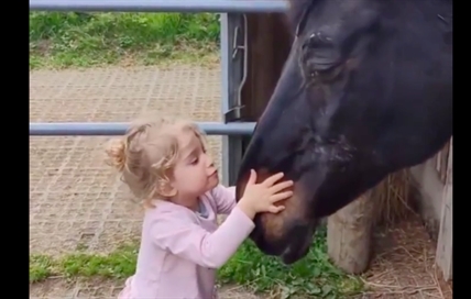 TRENDING NOW: Little girl gives horse a big kiss | iNFOnews.ca