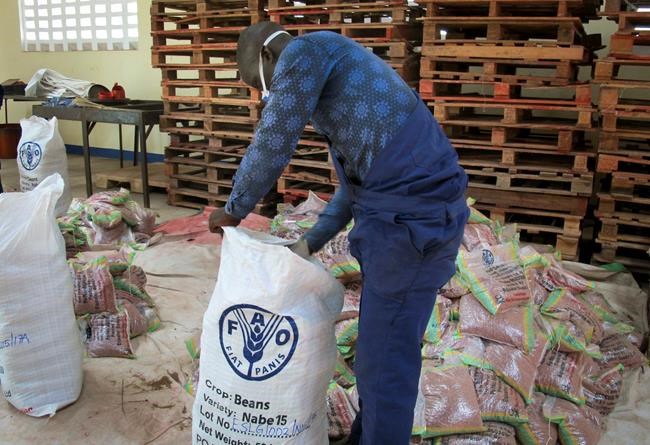 'Super beans' raise hopes in hunger-prone parts of Africa | iNFOnews.ca