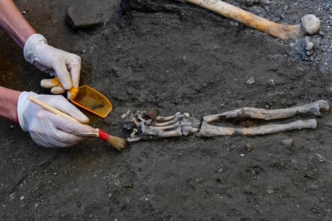 Dig at Italy's Pompeii volcanic site yields 5 skeletons | iNFOnews.ca