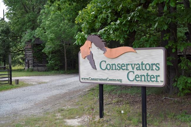 Family of woman mauled by lion pushes for new regulations | iNFOnews.ca Family of woman mauled by lion pushes for new regulations | iNFOnews.ca