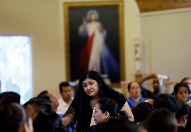 Non-profit's ID cards get recognition from police, immigrants | iNFOnews.ca Non-profit's ID cards get recognition from police, immigrants | iNFOnews.ca