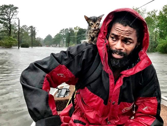 Kitten named Survivor clings to owner amid flood rescue | iNFOnews.ca