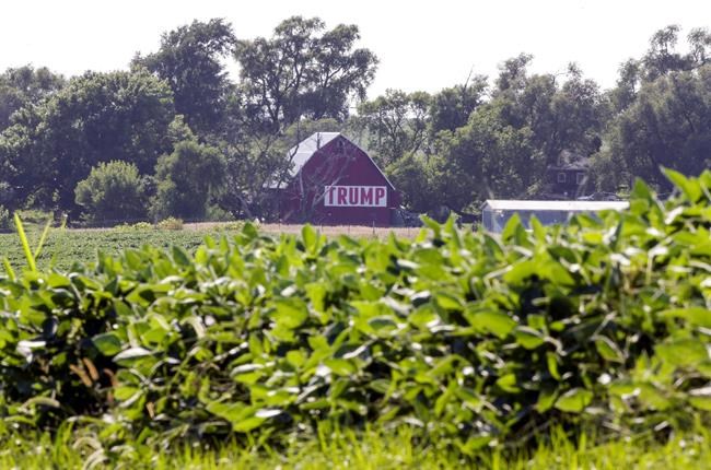 Farmers prefer Trump do trade deals than hand them cash | iNFOnews.ca Farmers prefer Trump do trade deals than hand them cash | iNFOnews.ca