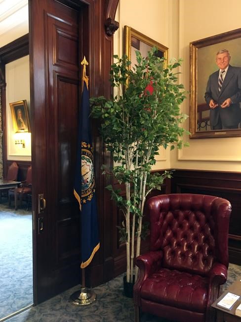 Tree hides portrait of state's 1st woman elected governor | iNFOnews.ca Tree hides portrait of state's 1st woman elected governor | iNFOnews.ca