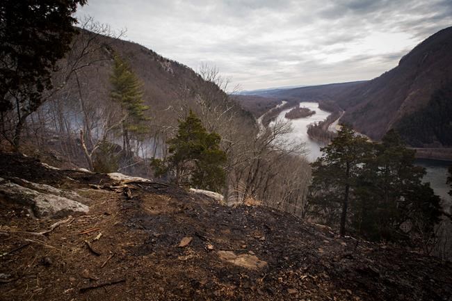 Forest fire near I-80, Appalachian Trail mostly contained | iNFOnews.ca