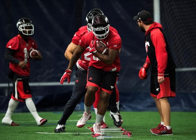 Messam, Stampeders looking to finish dominant 2016 campaign with Grey Cup win | iNFOnews.ca