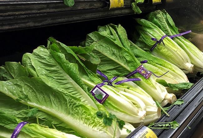 Health officials disclose another romaine outbreak, now over | iNFOnews.ca