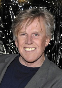 Actor Gary Busey strikes, slightly injures woman in Malibu car accident | iNFOnews.ca