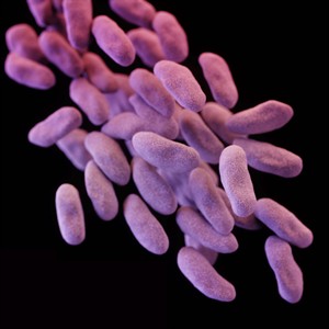 Los Angeles hospital says more than 100 may have been exposed to drug-resistant 'superbug' | iNFOnews.ca CP31955730
