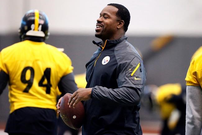 Chief defends cop after Steeler coach's arrest is questioned | iNFOnews.ca