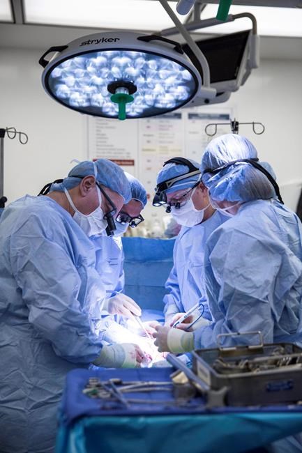 4 uterus transplants from live donors done in Texas; 3 fail | iNFOnews.ca