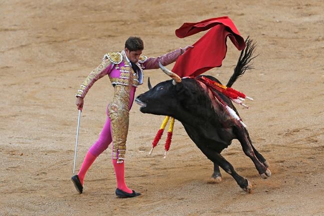 Hundreds march to protest bullfighting's return to Barcelona | iNFOnews.ca