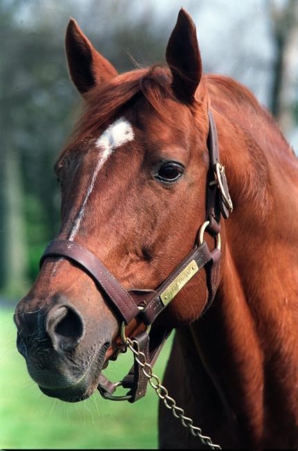 Penny Chenery, owner of Triple Crown champ Secretariat, dies | iNFOnews.ca Penny Chenery, owner of Triple Crown champ Secretariat, dies | iNFOnews.ca