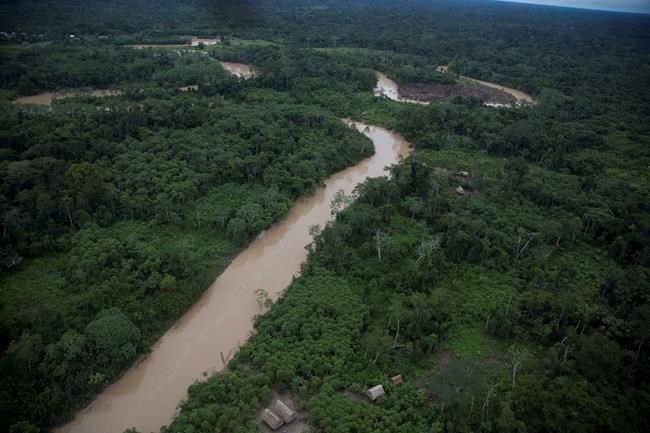 AP investigation shows Peru backsliding on illegal logging | iNFOnews.ca CP618881789