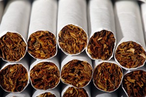 Smoking's toll goes far beyond lung cancer; study ties more deaths, diseases to tobacco use | iNFOnews.ca CP31859966