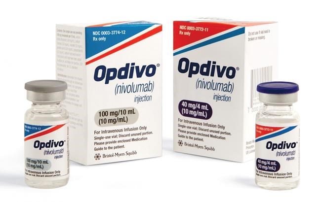 Immune-boosting drug may help before lung cancer surgery | iNFOnews.ca