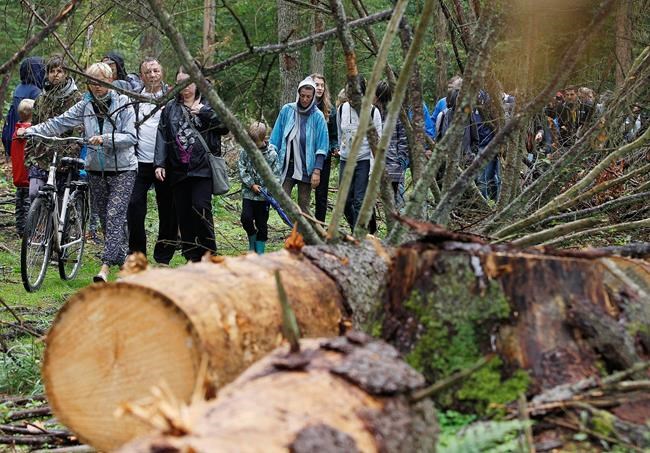 Poland ready to end extensive logging in pristine old forest | iNFOnews.ca