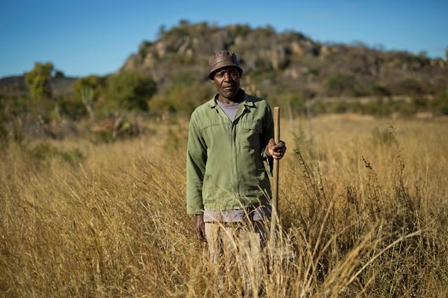 Zimbabwe's Matabeleland massacre haunts Monday's elections | iNFOnews.ca