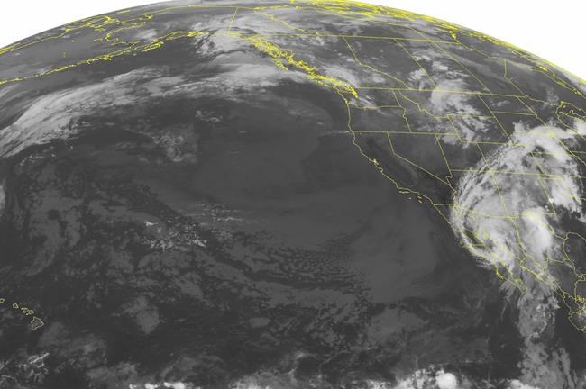 Newton on path toward Mexico's border with Arizona | iNFOnews.ca
