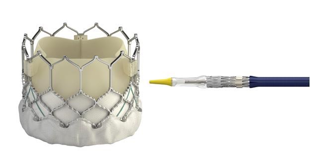 Newer heart valves may let more people avoid surgery | iNFOnews.ca