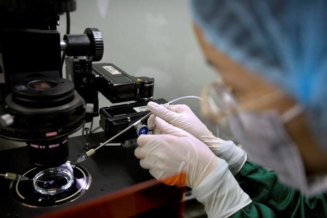 UN: Gene editing for human reproduction is 'irresponsible' | iNFOnews.ca UN: Gene editing for human reproduction is 'irresponsible' | iNFOnews.ca