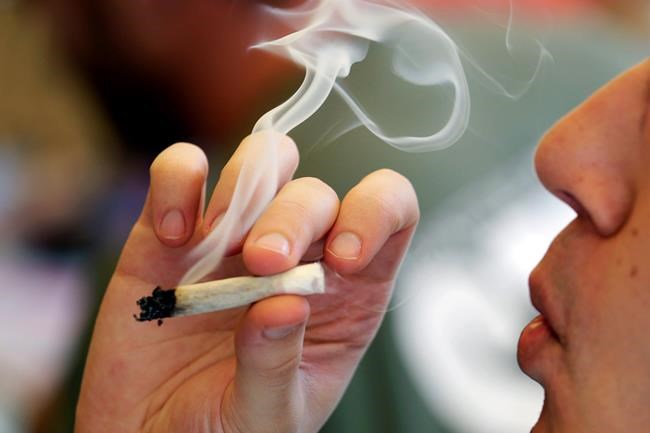 Teen odds of using marijuana dip with recreational use laws | iNFOnews.ca Teen odds of using marijuana dip with recreational use laws | iNFOnews.ca