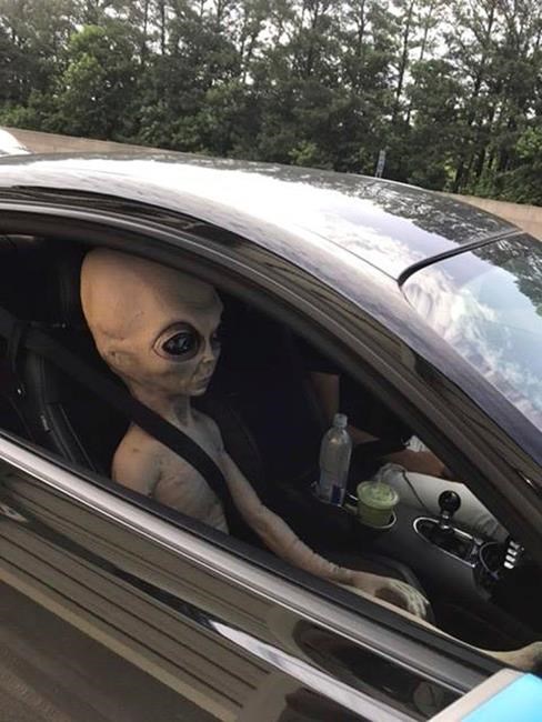 Not quite warp speed: Speeding man had alien doll passenger | iNFOnews.ca Not quite warp speed: Speeding man had alien doll passenger | iNFOnews.ca