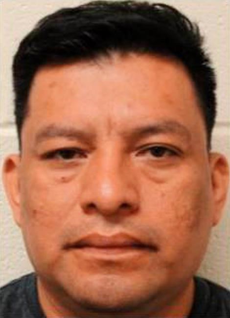 Federal immigration officials detain registered sex offender | iNFOnews.ca