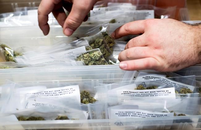 High or Dry? California legal pot to test supply pipeline | iNFOnews.ca High or Dry? California legal pot to test supply pipeline | iNFOnews.ca