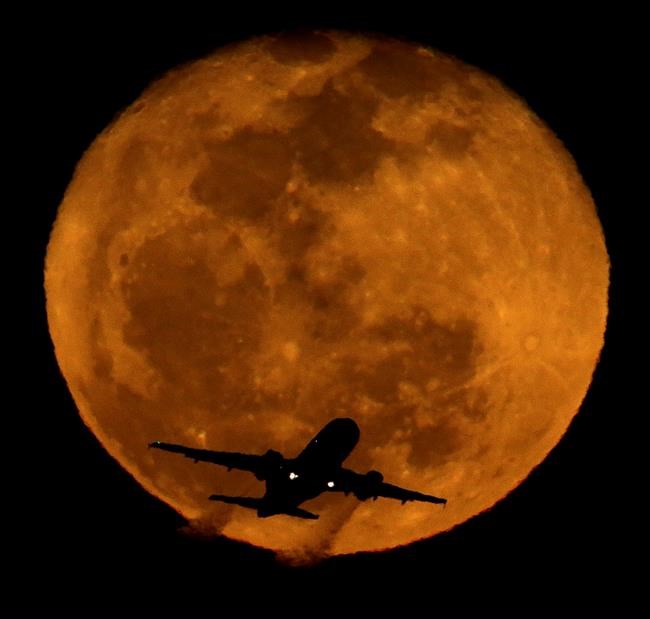 Intoxicated in the air: drunk pilots make news but are rare | iNFOnews.ca
