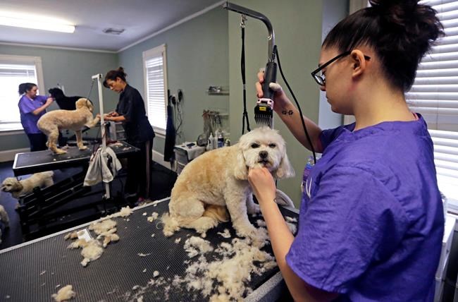 US productivity shrinks again in first quarter | iNFOnews.ca US productivity shrinks again in first quarter | iNFOnews.ca