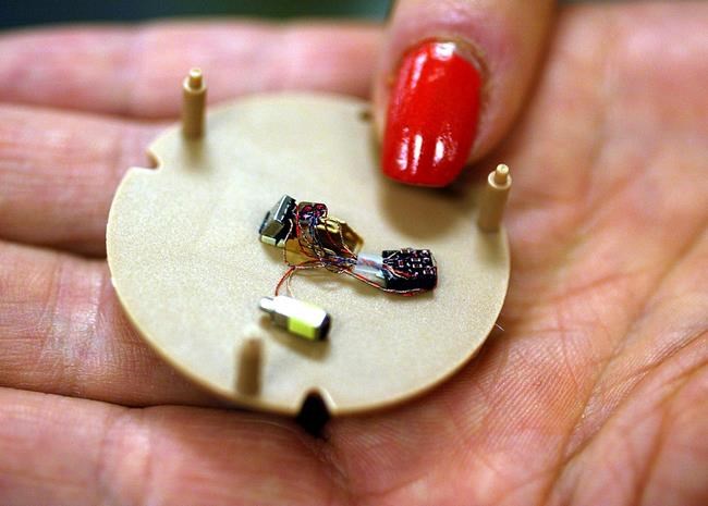 Artificial intelligence's rise exposes gaping gender gap | iNFOnews.ca