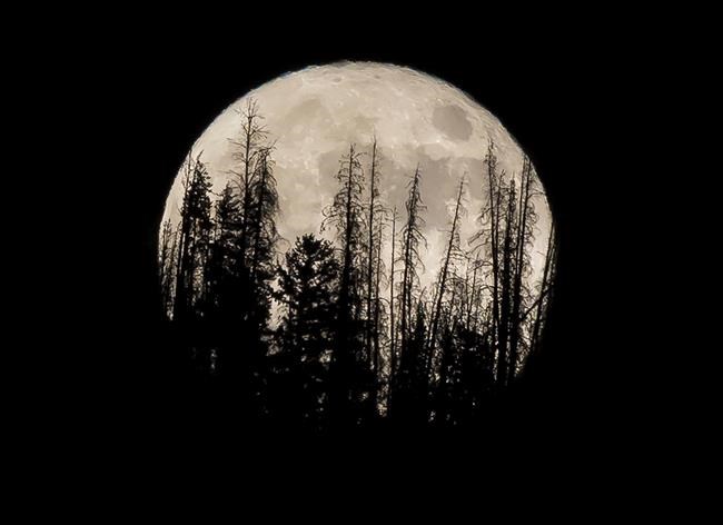 Catch this week's supermoon, biggest and brightest of year | iNFOnews.ca Catch this week's supermoon, biggest and brightest of year | iNFOnews.ca