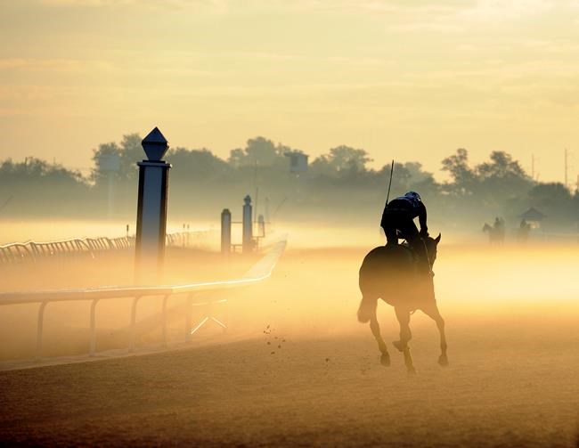 Race track settles with feds for manure, urine discharges | iNFOnews.ca Race track settles with feds for manure, urine discharges | iNFOnews.ca
