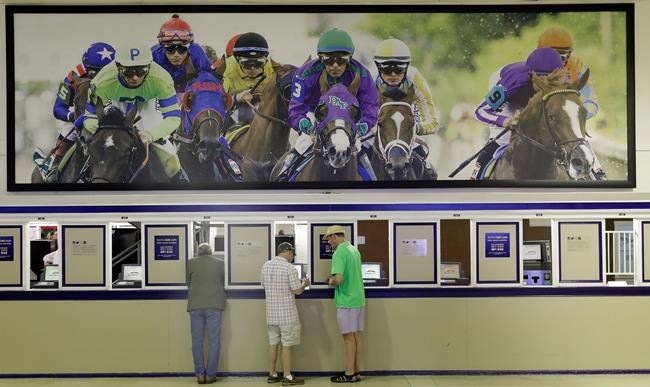 Report: 32 US states could offer sports betting in 5 years | iNFOnews.ca Report: 32 US states could offer sports betting in 5 years | iNFOnews.ca