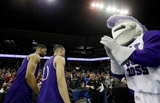 Holy Cross drops knight image despite keeping Crusaders name | iNFOnews.ca Holy Cross drops knight image despite keeping Crusaders name | iNFOnews.ca