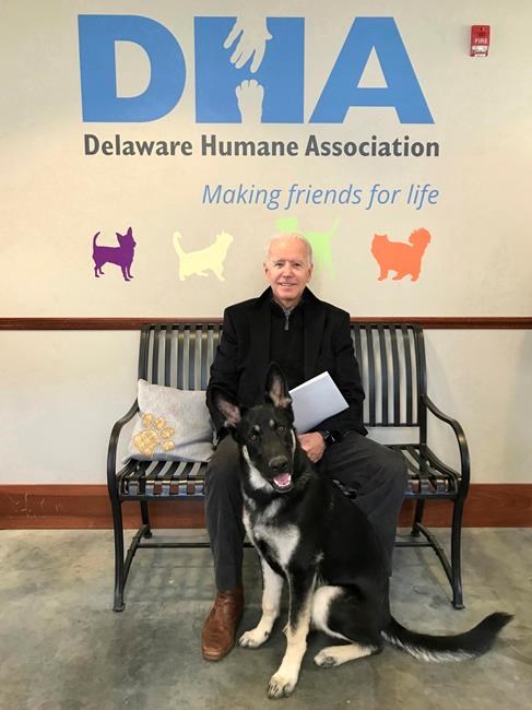 Former Vice-President Joe Biden adopts new dog | iNFOnews.ca