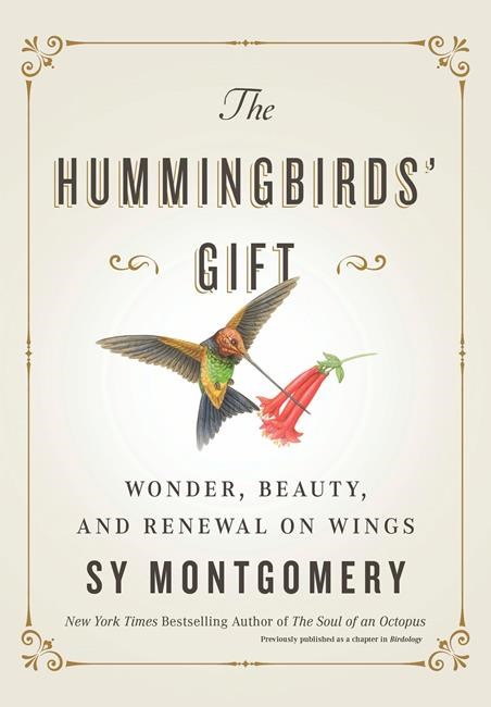 Review: A hummingbird book that's like them - zippy and fun | iNFOnews.ca