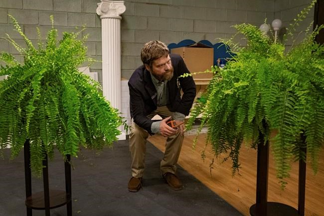 Galifianakis and Aukerman on 'Between 2 Ferns: The Movie' | iNFOnews.ca