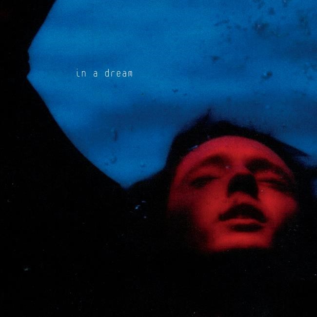 Review: Troye Sivan mixes it up on 6-track EP 'In a Dream' | iNFOnews.ca Review: Troye Sivan mixes it up on 6-track EP 'In a Dream' | iNFOnews.ca