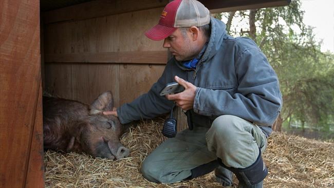 New doc chronicles how a California farming oasis came to be | iNFOnews.ca New doc chronicles how a California farming oasis came to be | iNFOnews.ca