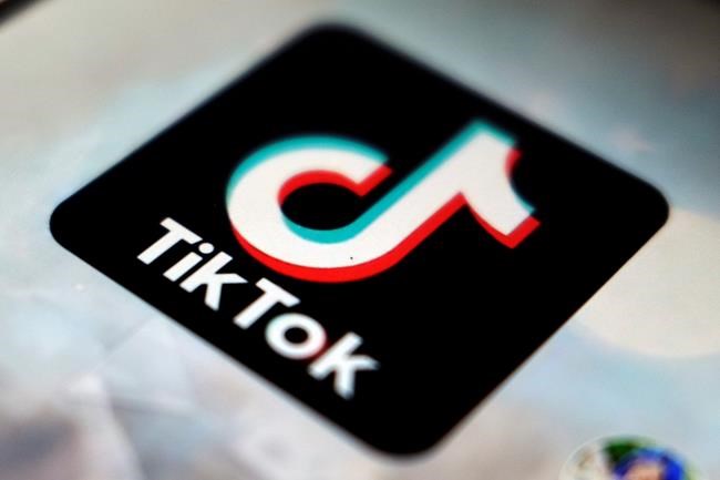 A year in 60 secs: TikTok lists top videos, creators of 2020 | iNFOnews.ca