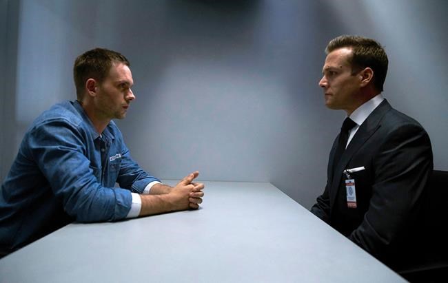 'Suits' gets seventh-season renewal from USA Network | iNFOnews.ca 'Suits' gets seventh-season renewal from USA Network | iNFOnews.ca
