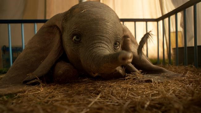 Review: 'Dumbo' remake takes flight on its own charms | iNFOnews.ca